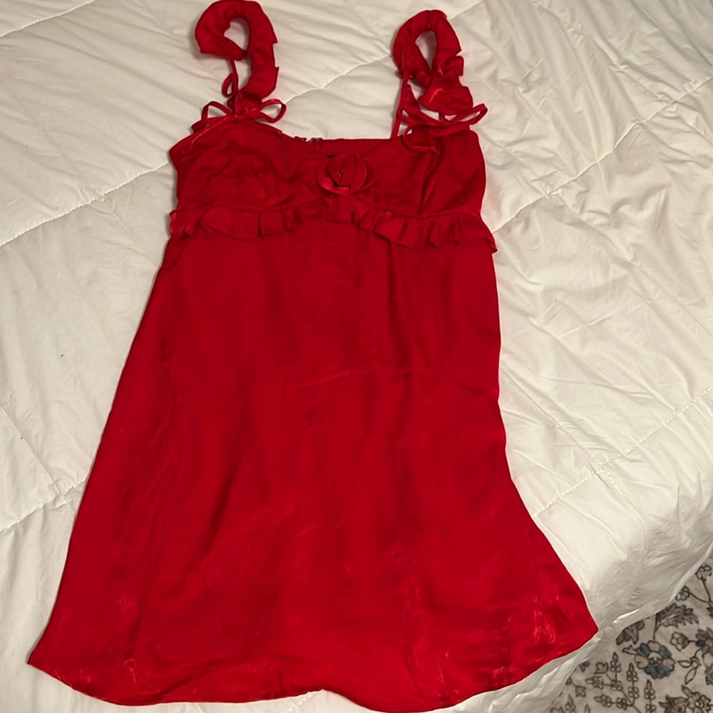 Wild Fable Rose Dress